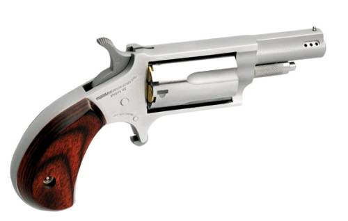 NORTH AMERICAN ARMS MINI 22MAG/22LR 1-5/8″ SS PRTD