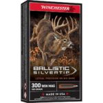 Winchester Ballistic Silvertip Rifle Ammunition .300 Win Mag 180 gr. PT 2950 fps 20/ct