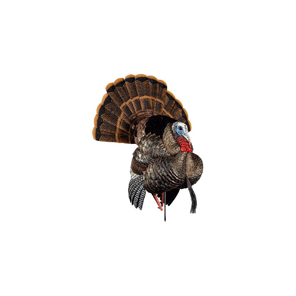 Avian-X HDR Strutter
