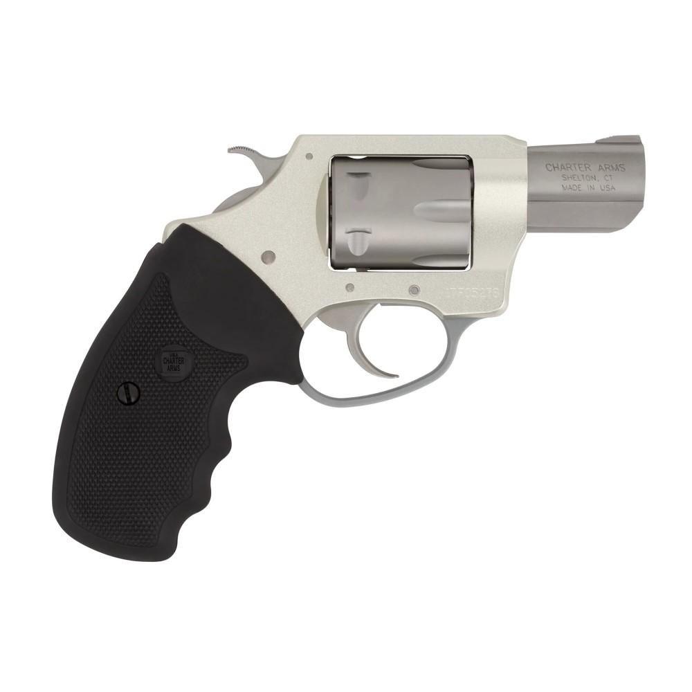 Charter Arms Pathfinder .22 LR 8rd Capacity 2″ Barrel Stainless Full Grip