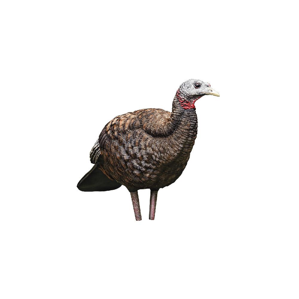 Avian-X LCD – Breeder Hen Turkey Decoy