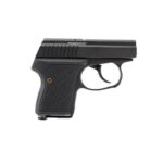 Seecamp LWS-32 Handgun 32 Auto 6rd Magazine 2″ Barrel DAO Black Slide Black Grip