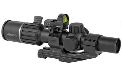 BURRIS RT6 30MM 1-6X24MM BAL AR