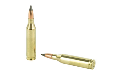 WIN DEER SEASON 243WIN 95GR 20/200