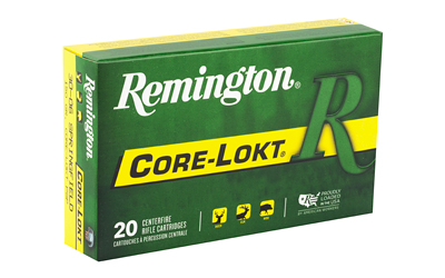 REM 30-06 150GR PSP CL 20/200