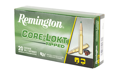 REM 243WIN 95GR CLOK TIPPED 20/200