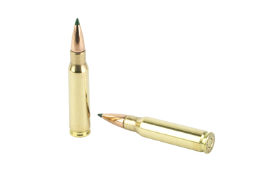 REM 308 WIN 165GR CLOK TIPPED 20/200