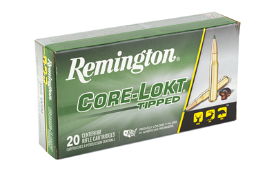 REM 308 WIN 180GR CLOK TIPPED 20/200