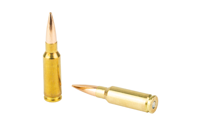 REM 6.5GRN 130GR REM BERG OTM 20/200