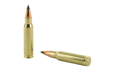 NOSLER VG 308WIN 110GR FB TIP 20/200