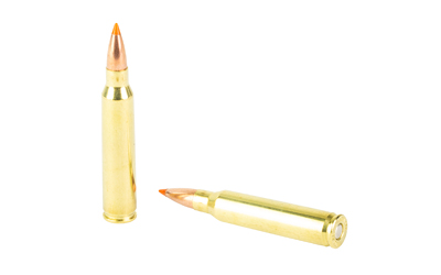 NOSLER 223 REM 55GR BT 20/200