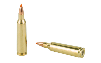 NOSLER 22-250 55GR BT 20/200