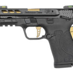 S&W PC SHIELD 380ACP EZ 8RD PRTD GLD