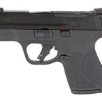 S&W SHIELD PLUS 9MM 3.1″ NTS 10RD OR