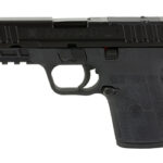 S&W EQUALIZER 3.675″ 9MM NTS 10RD BK