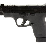 S&W PC M&P SHLD PLS 9MM 4″ PRT BK OR