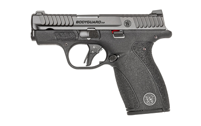 S&W BDYGRD 2.0 380ACP 2.75″ 12RD NTS