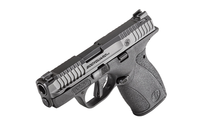 S&W BDYGRD 2.0 380ACP 2.75″ 12RD NTS