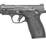 S&W M&P BDYGRD 2.0 380ACP 10RD TS