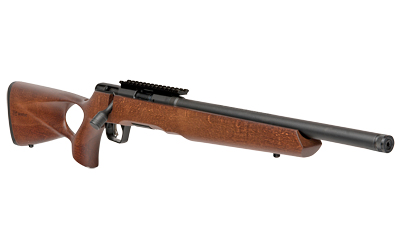 SAV B17 TIMBER 17HMR 18″ TB 10RD WD