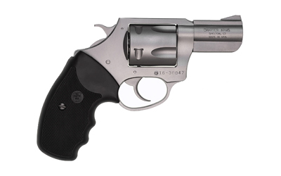 CHARTER ARMS PITBULL 40S&W 2.3″ SS