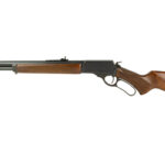 ROSSI R95 CLASSIC 45C 20″ 10RD