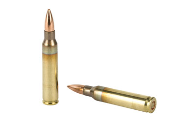 PMC XTAC 556NATO 55GR FMJBT 20/1000