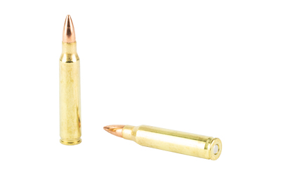 HRNDY 223REM 55GR FMJ 50/500