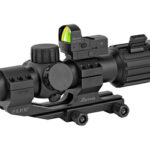 BURRIS RT6 30MM 1-6X24MM BAL AR