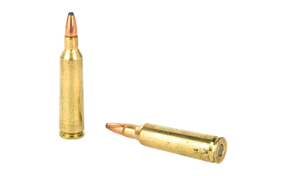 REM 22-250 55GR PSP 20/200