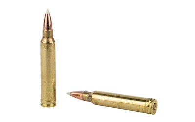 NOSLER 300WIN 180GR AB 20/200