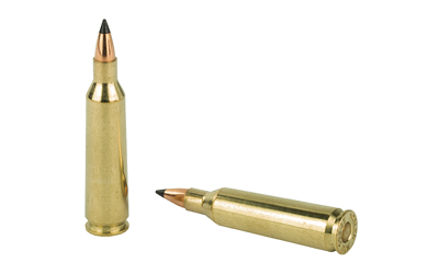 NOSLER VG 22-250 55GR FB TIP 20/200