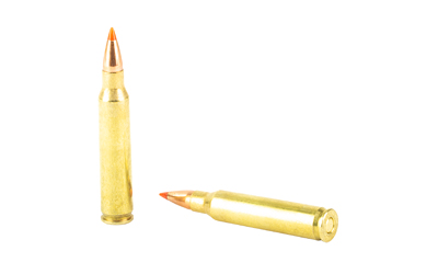 HRNDY 223REM 55GR VMAX 20/200