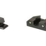 XS R3D 2.0 SIGHT S&W BODYGUARD 2 ORG