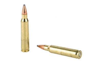 ARMSCOR 223REM 55GR PSP 20/1000