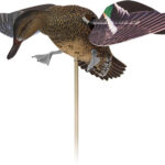 AVIAN X POWERFLIGHT SPINNING – WING HEN TEAL DECOY