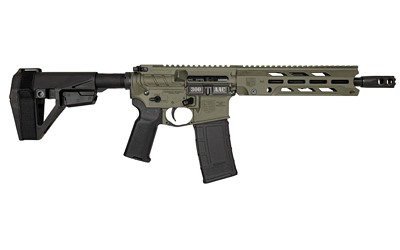 DBF DB15OBS 300BLK 10″ 30RD ODG BRC