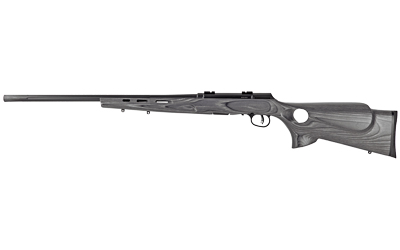 SAV A17 TRGT LAM THMBHLE 17HMR 22″