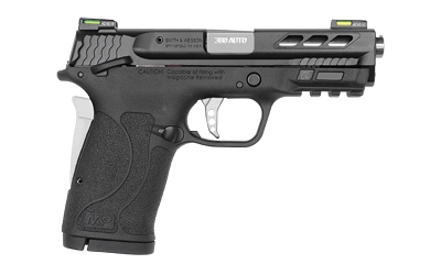 S&W PC SHIELD 380ACP EZ 8RD PRTD SLV