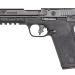 S&W M&P 22WMR 4.35″ OR MS 10RD BLK