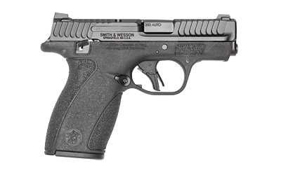 S&W M&P BDYGRD 2.0 380ACP 10RD TS