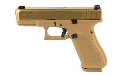 GLOCK 19X (V) 9MM 10RD GNS 3 MAGS