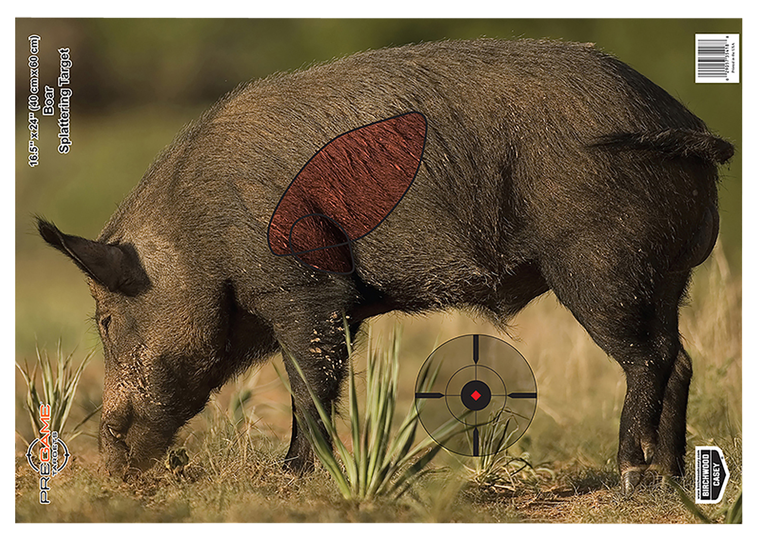 Birchwood Casey 35408 Pregame Boar Paper Target 16.50″ x 24″ 3 Per Pkg