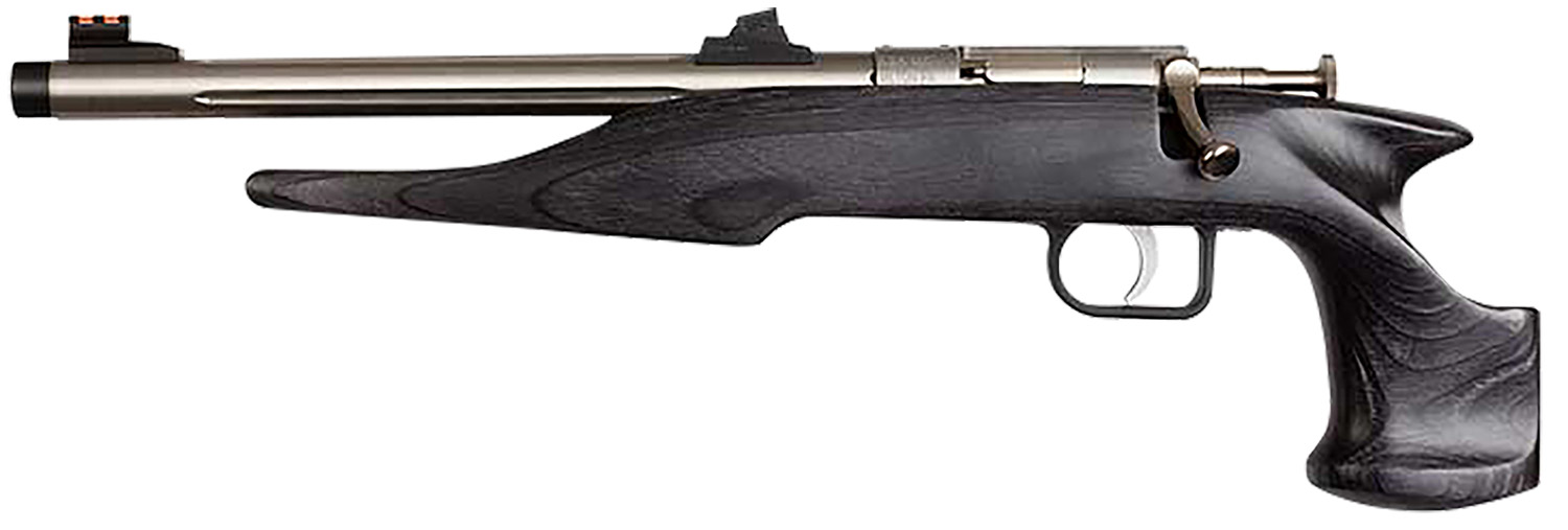 Chipmunk 40103 Hunter Youth Frame 22 LR Single Shot 9″ Threaded Stainless Steel Barrel, Black Laminate Frame