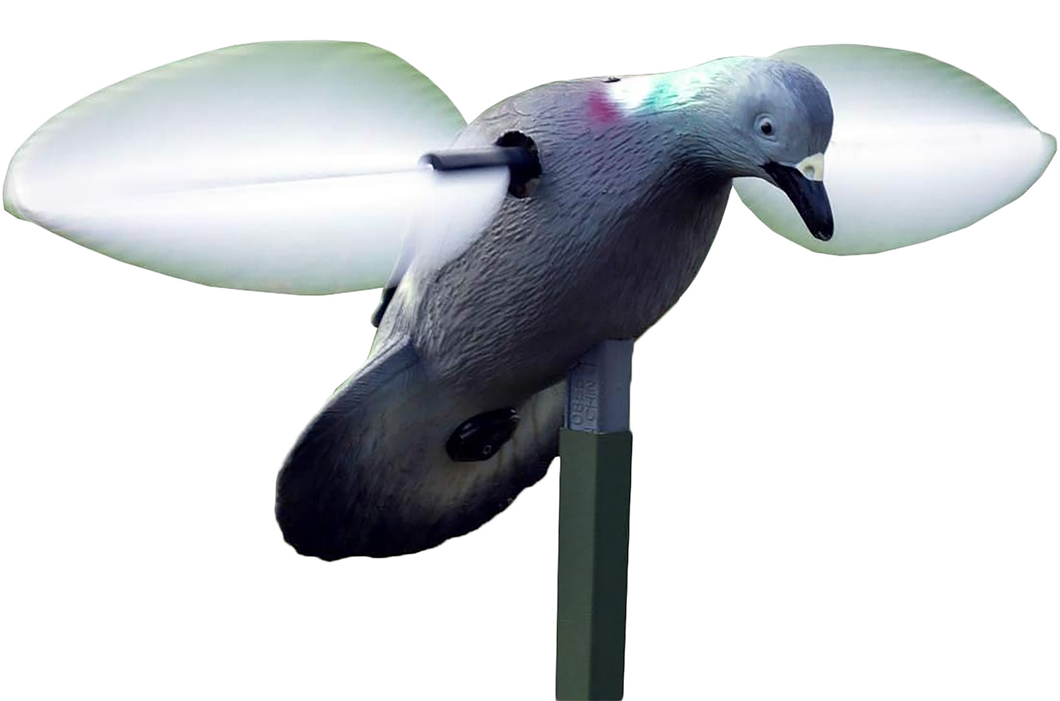 Mojo Outdoors HW2410 Pigeon  Species Multi Color Plastic