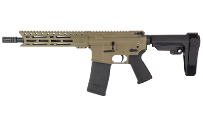 DBF DB15 300BLK 10″ 30RD FDE BRACE