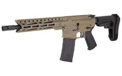 DBF DB15 300BLK 10″ 30RD FDE BRACE