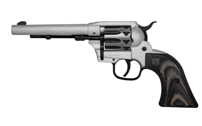 DBF SIDEKICK 22LR/WMR 5.5″ 9RD TALO
