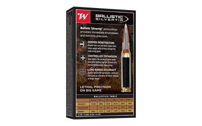WIN BLSTC TIP 243WIN 95GR 20/200