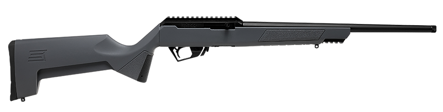 Savage Arms 19777 RXR  22 LR 10+1 16.50″ Military Gray